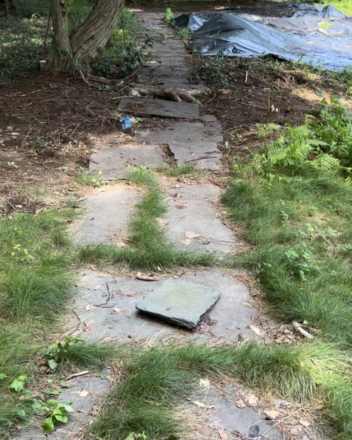 Flagstone Path-1