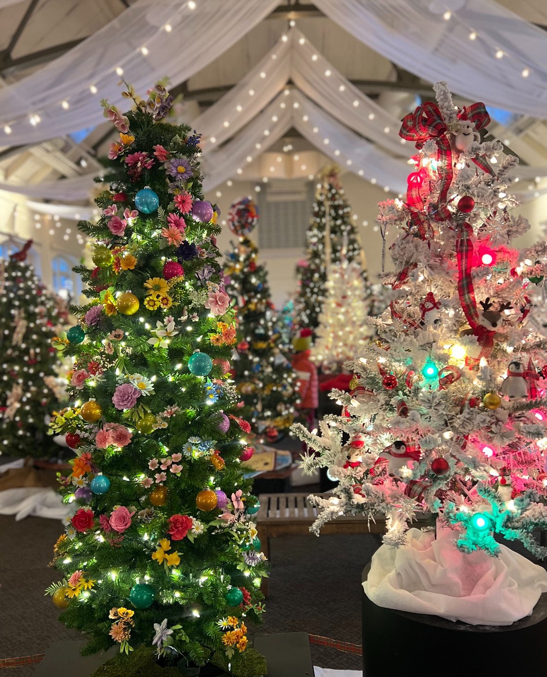 Decorated Trees