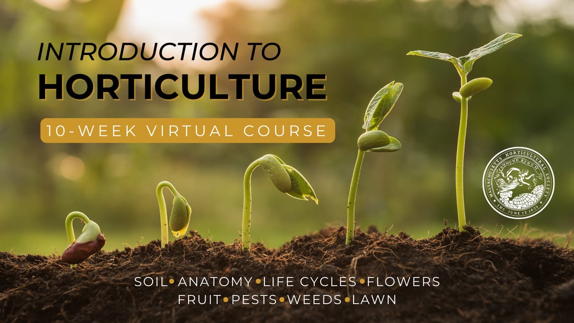 Introduction to Hort Blog Banner