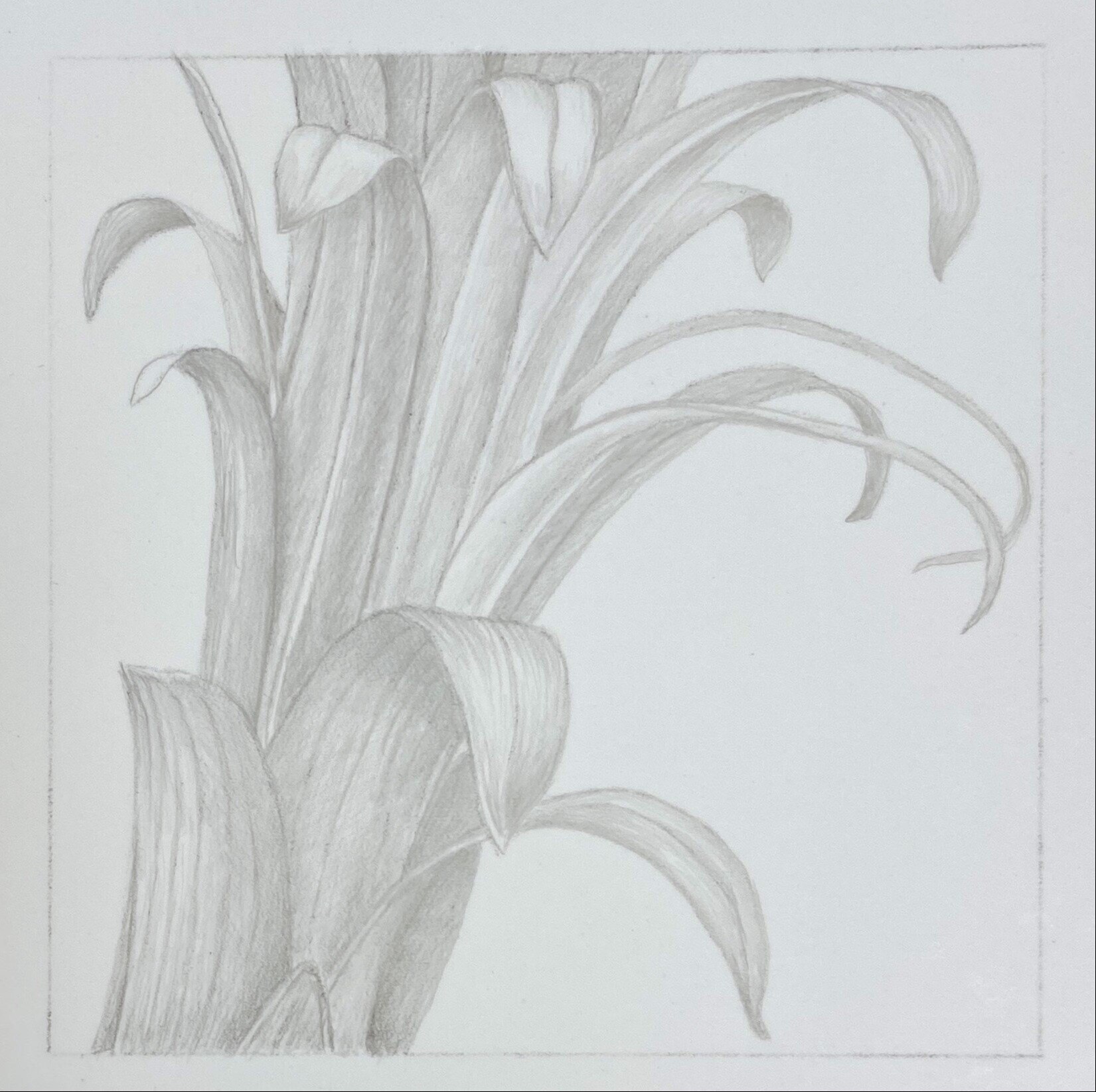 Miranda Kathie Intro to Silverpoint image-2